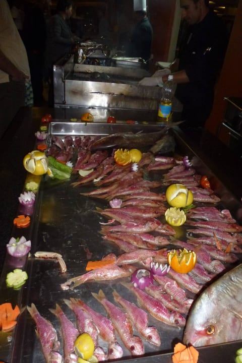Draußen Grillfisch Beach Albatros Resort