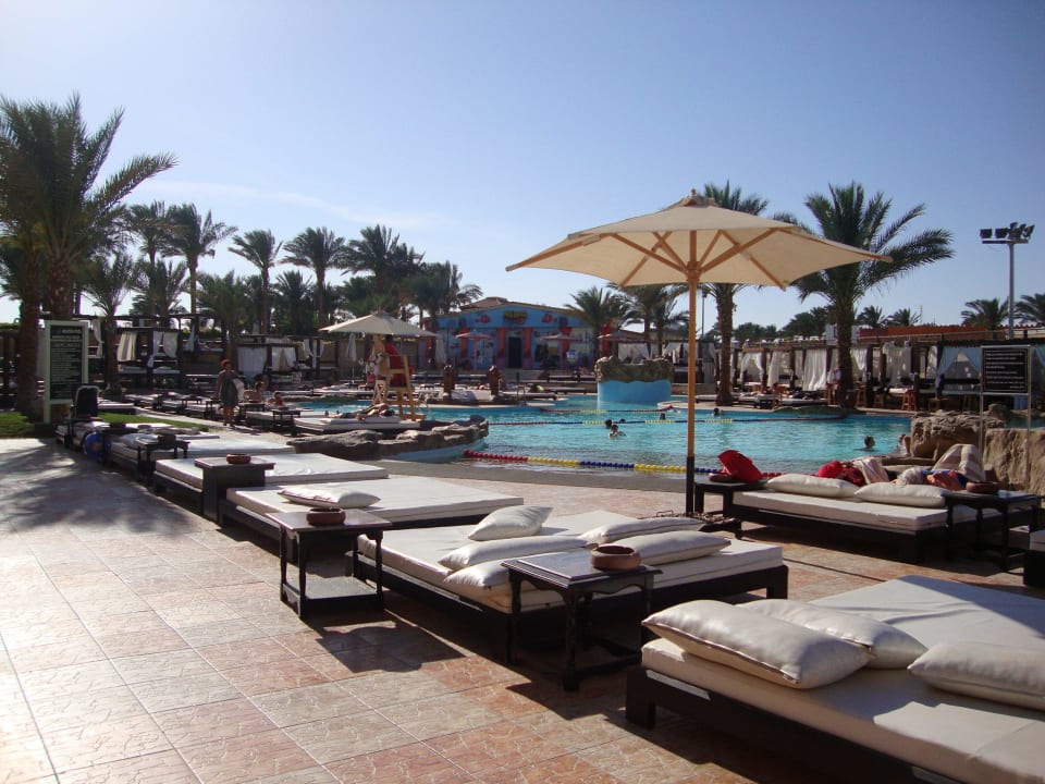 Beheizter Pool mit sehr schöne Liegen Pickalbatros Dana Beach Resort - Hurghada
