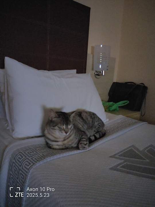 Zimmer VONRESORT Golden Beach