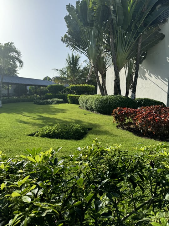 Gartenanlage Dreams La Romana Resort & Spa