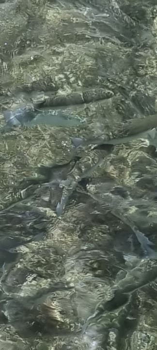 Strand Stella Beach Resort & Spa Makadi Bay