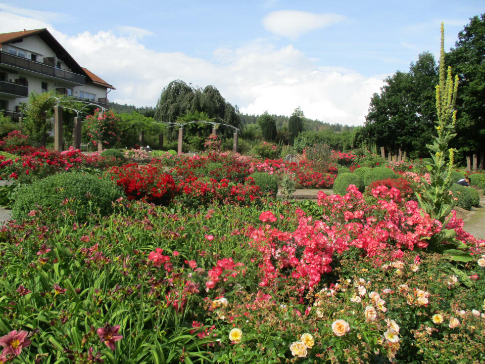 Ausblick Parkhotel Emstaler Höhe