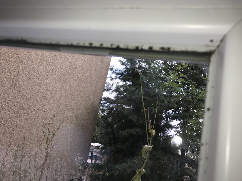 Zimmer Center Parcs Park Bostalsee