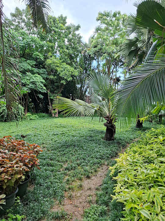 Gartenanlage Laluna Hotel & Resort