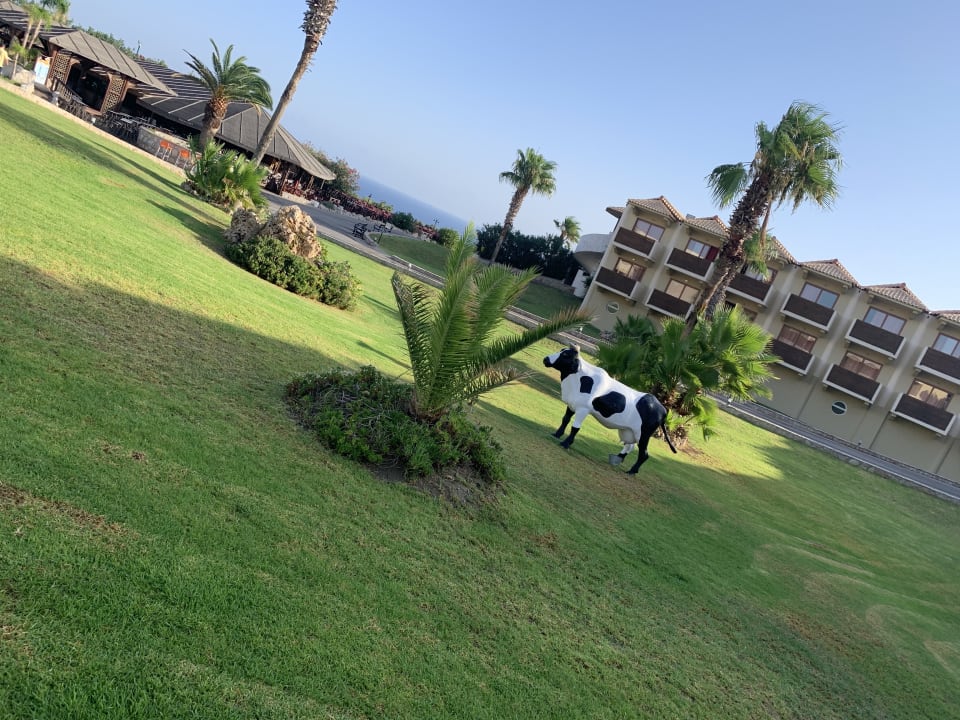 Außenansicht Hotel Kalithea Horizon Royal