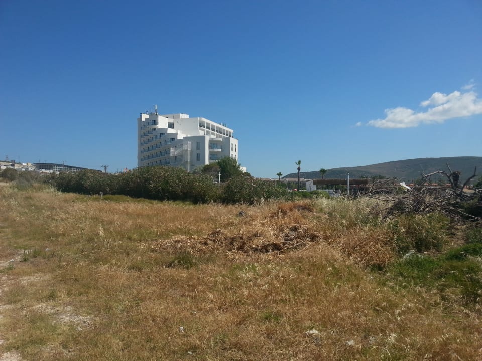 Außenansicht Design Plus Seya Beach Hotel