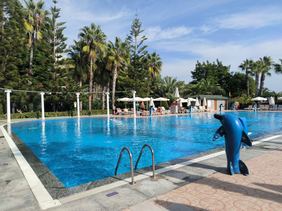 Pool Hotel Botanik Platinum