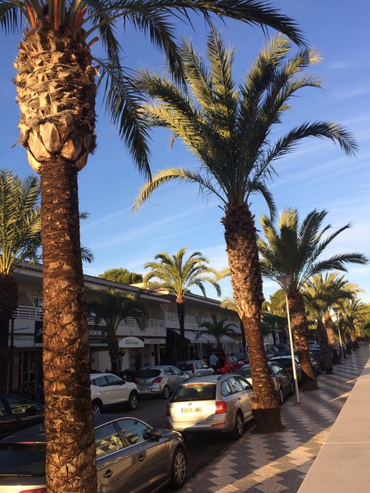 Außenansicht BQ Sarah