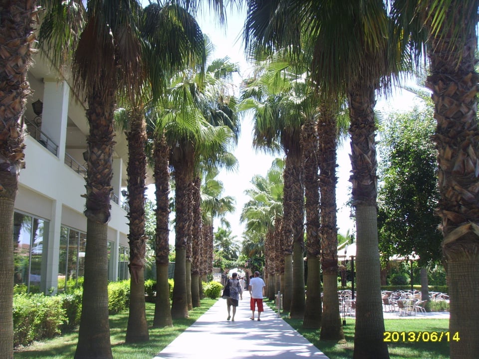 Weg zum Strand Hotel Royal Garden Beach