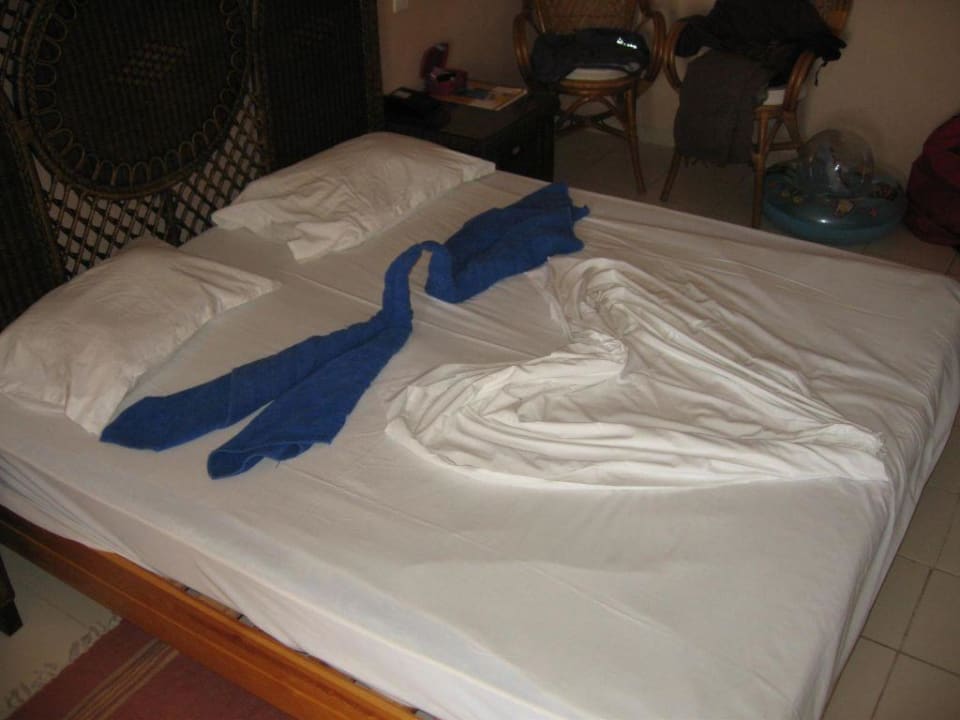 Hotel Zimmer Hotel African Queen