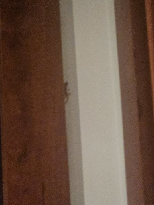 Zimmer Mahdia Palace Thalasso