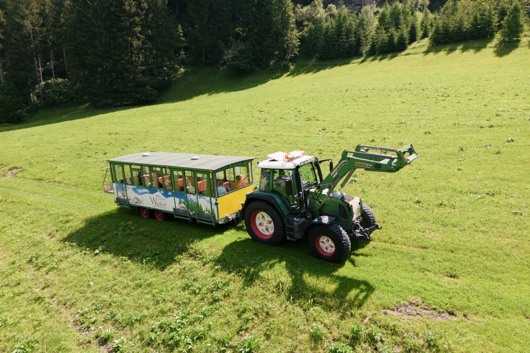 Sport & Freizeit Kinderhotel Waldhof