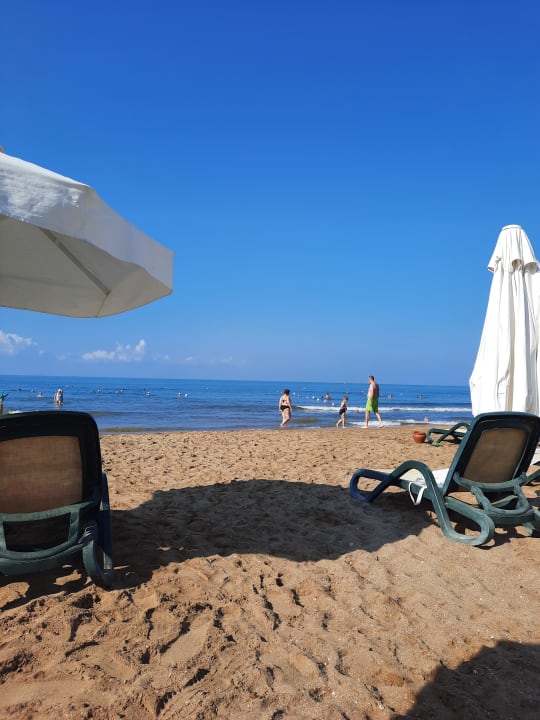 Strand Side Star Elegance