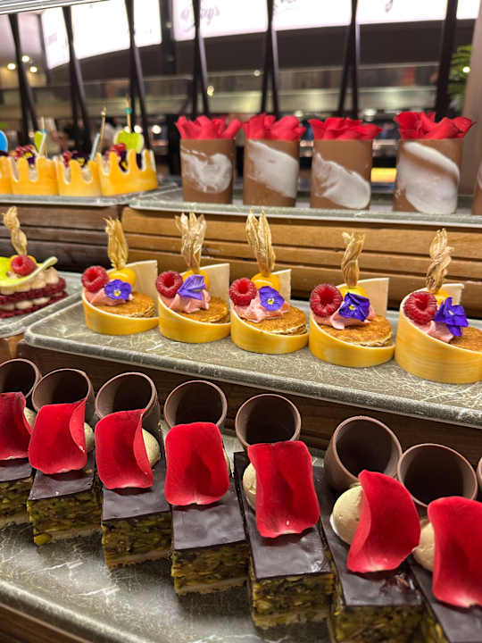 Gastro Delphin BE Grand