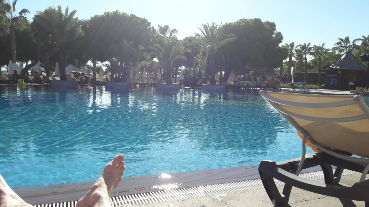 Basen Papillon Zeugma Relaxury