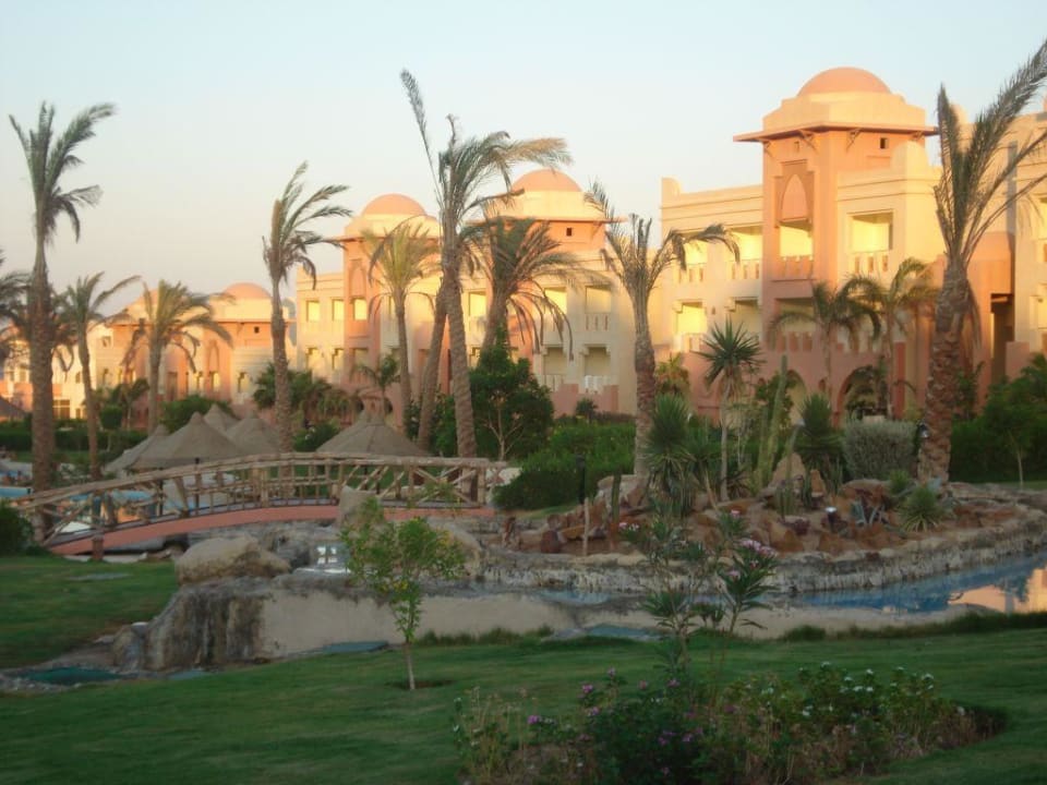 Ogród Serenity Alpha Beach