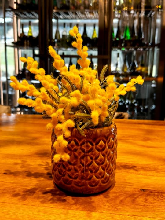 Sonstiges Oberjoch - Familux Resort