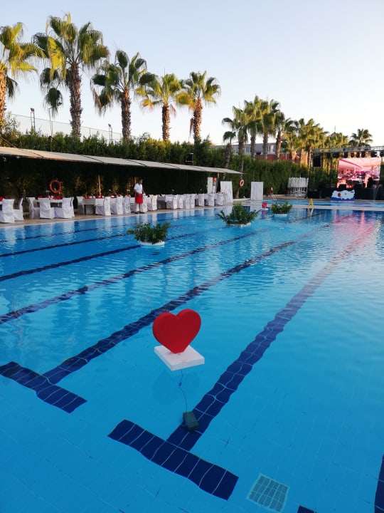 Pool Hane Family Resort