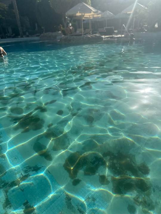 Pool Makadi Spa - Adults only