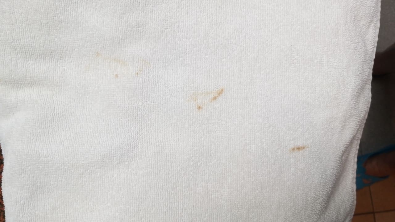 Zimmer BLUESEA Costa Jardin Spa