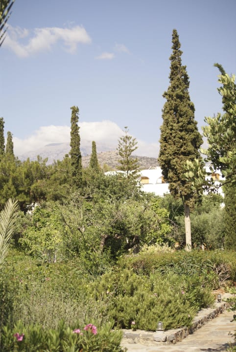 In der Gartenanlage Minos Beach Art Hotel