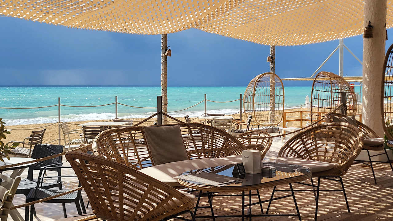 Strand Seashell Vega