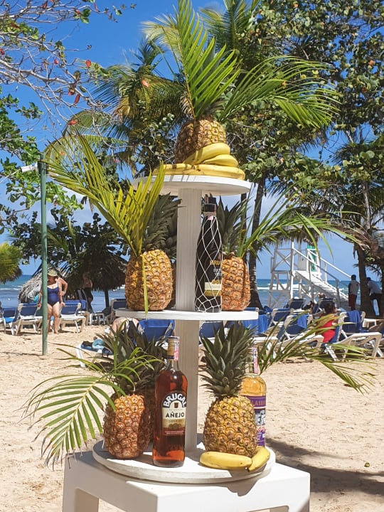 Strand Bahia Principe Grand El Portillo