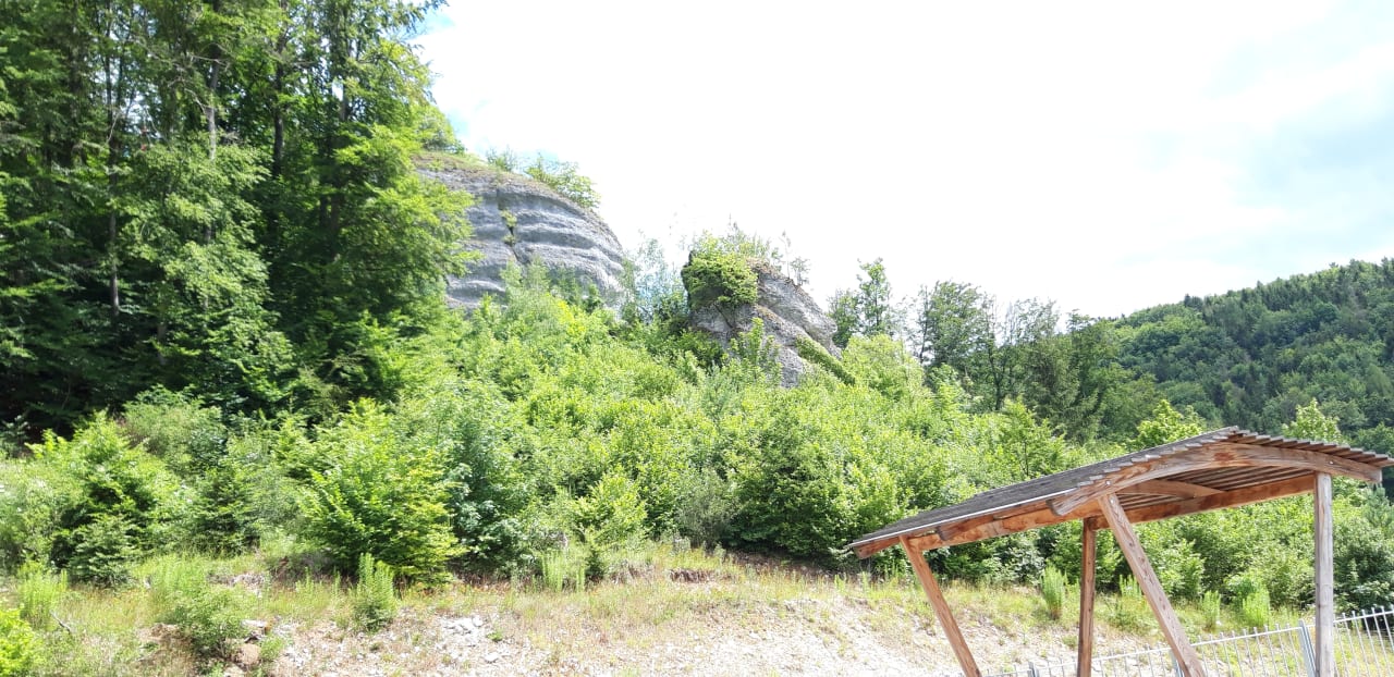 Ausblick Landhaus Sponsel-Regus