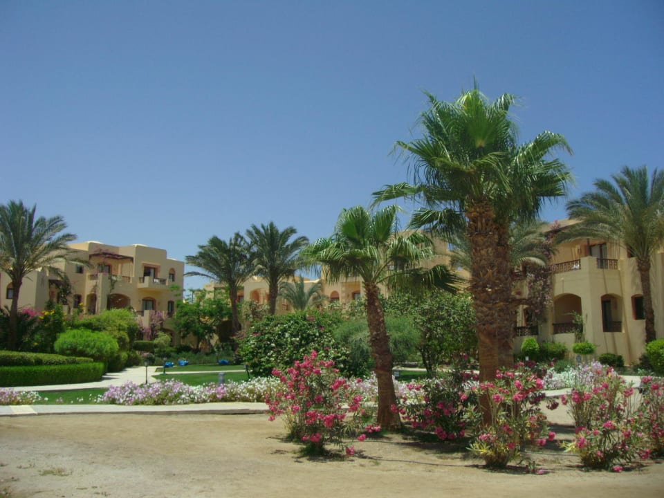 Ansprechende Bauweise mit vielen Pflanzen Steigenberger Coraya Beach - Adults only