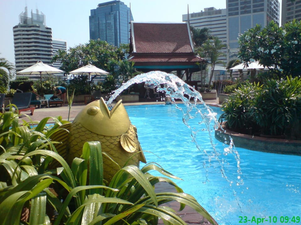 Pool 14. Stock Hotel Windsor Suites & Convention