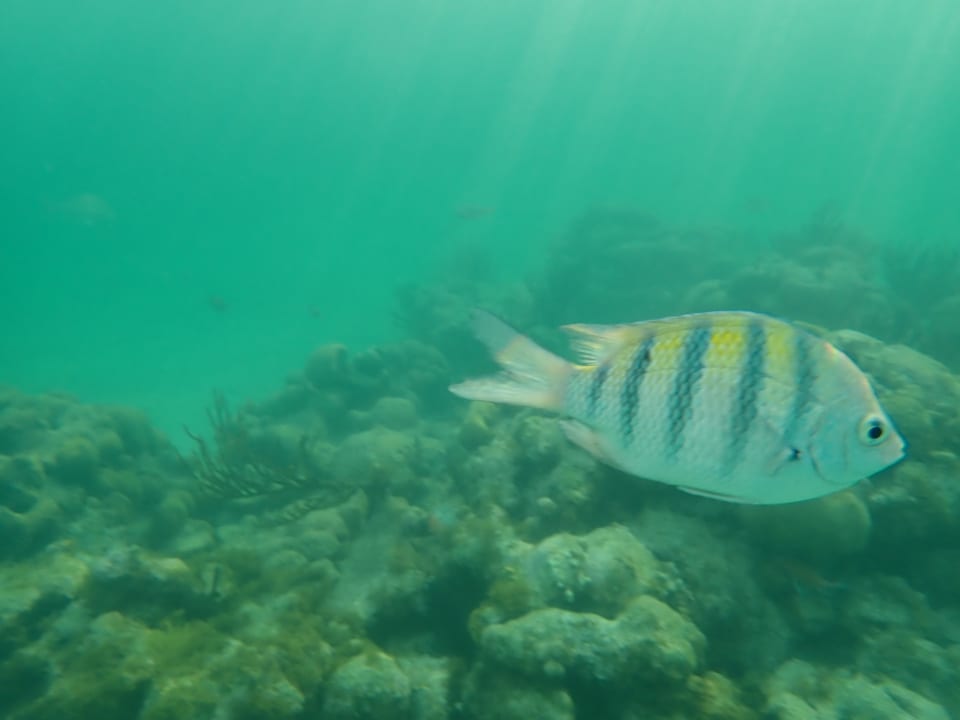 Strand Akumal Bay Beach & Wellness Resort