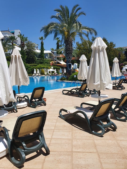 Pool Side Star Elegance