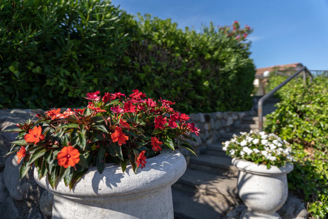 Gartenanlage Residence Primera