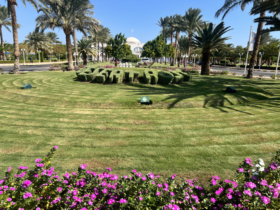 Gartenanlage Desert Rose