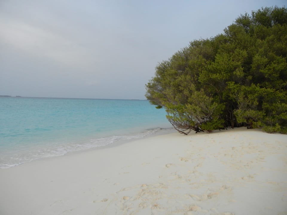 Sandbank Kuramathi Maldives