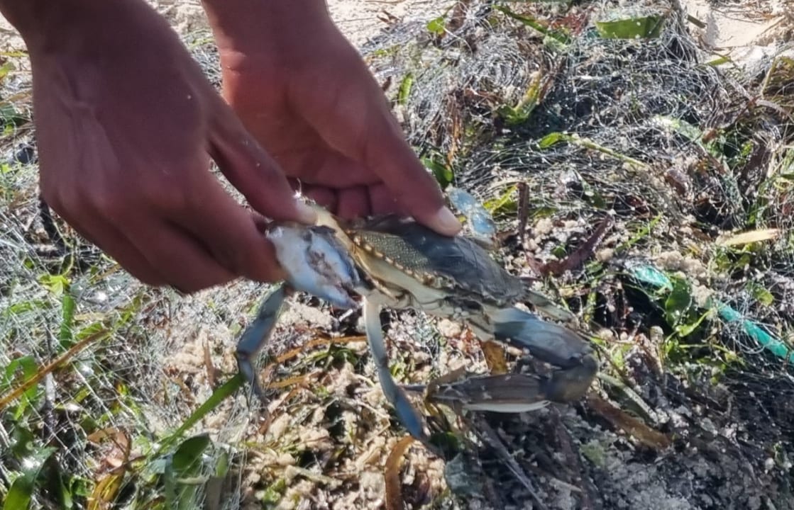 Strand Hotel Club Tropicana & Spa