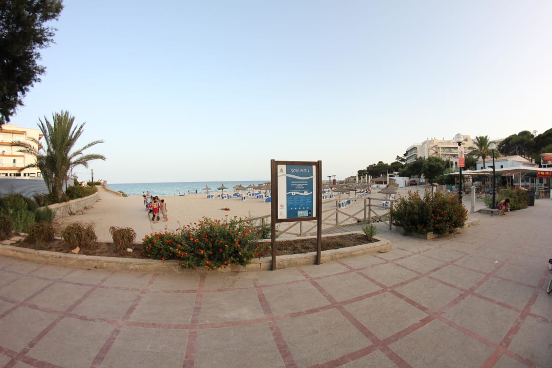 Son Moll Hotel Serrano Palace