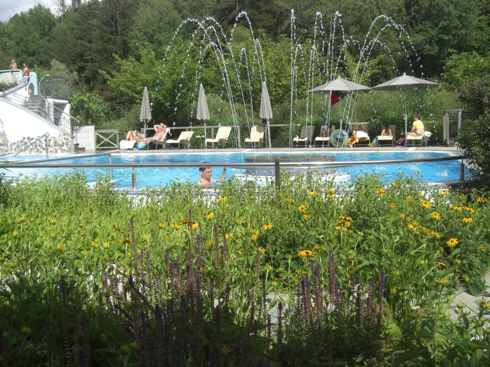 Garten mit Pool Gartenhotel Moser