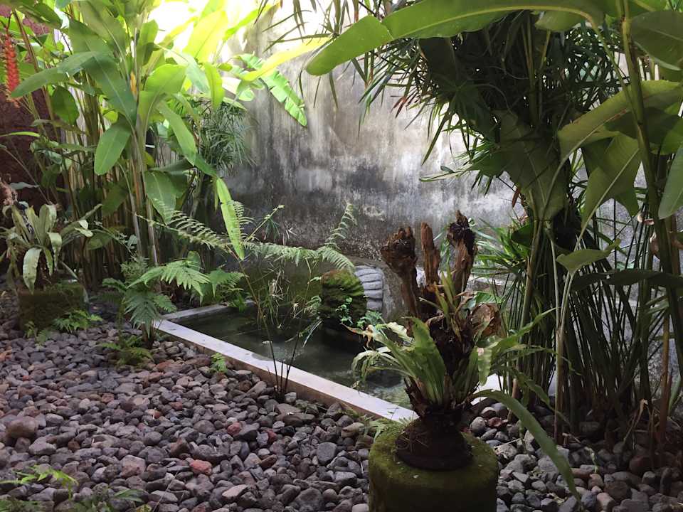 Gartenanlage Desa Saya Eco Luxury Resort & Spa - Adults only