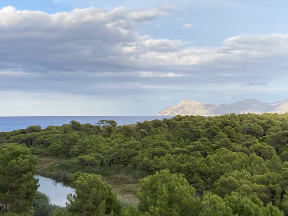 Ausblick Hotel Exagon Park