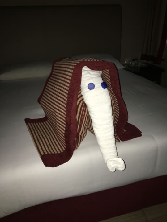 Zimmer Jaz Makadi Oasis Resort