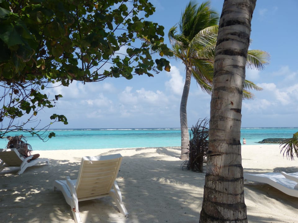 Superiorbungalow 217 Summer Island Maldives