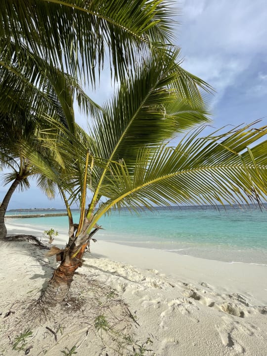 Strand Adaaran Select Meedhupparu Island Resort - Premium All Inclusive