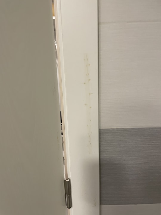 Zimmer Hotel Riu Republica - Adults only