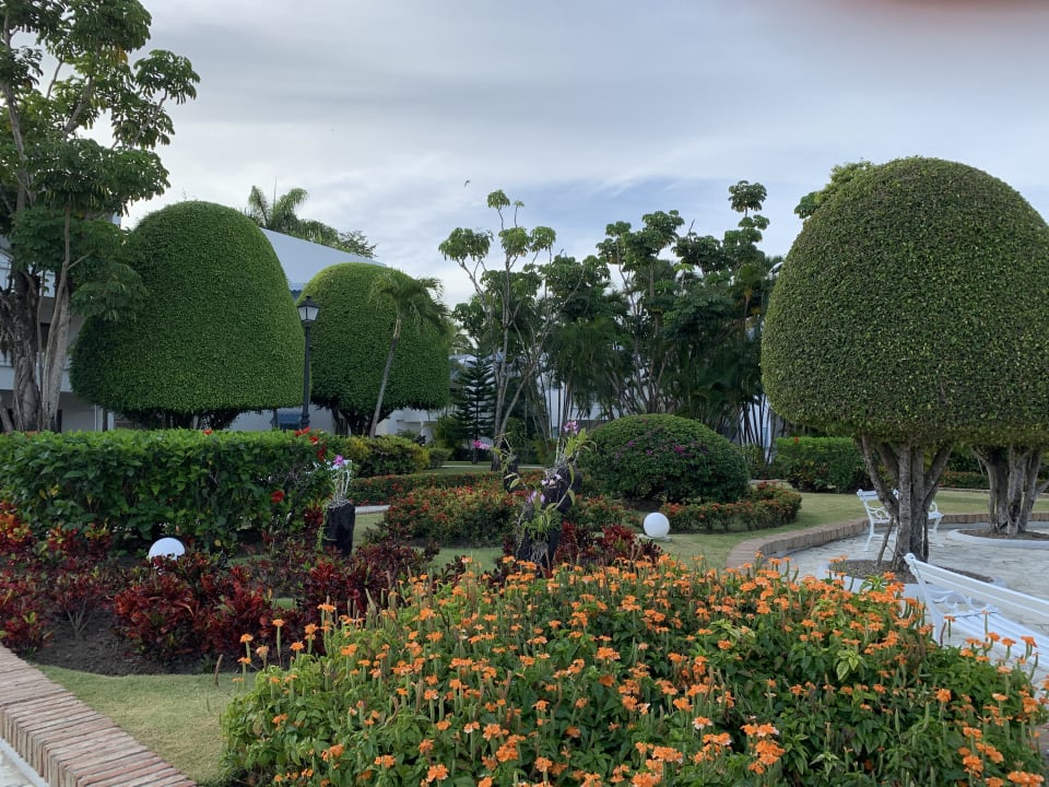 Gartenanlage Sunscape Puerto Plata