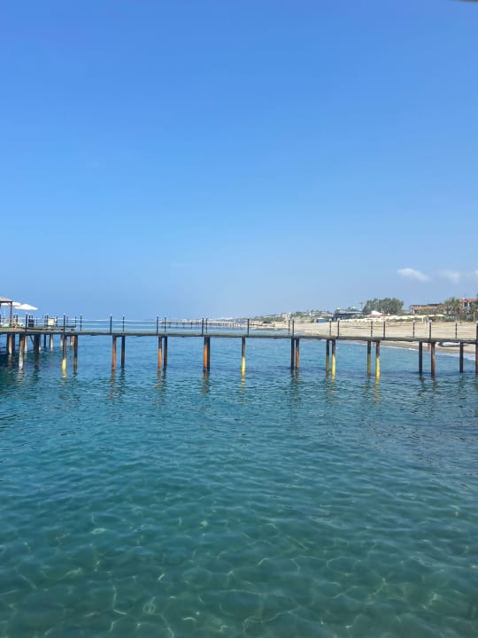 Strand Dizalya Palm Garden