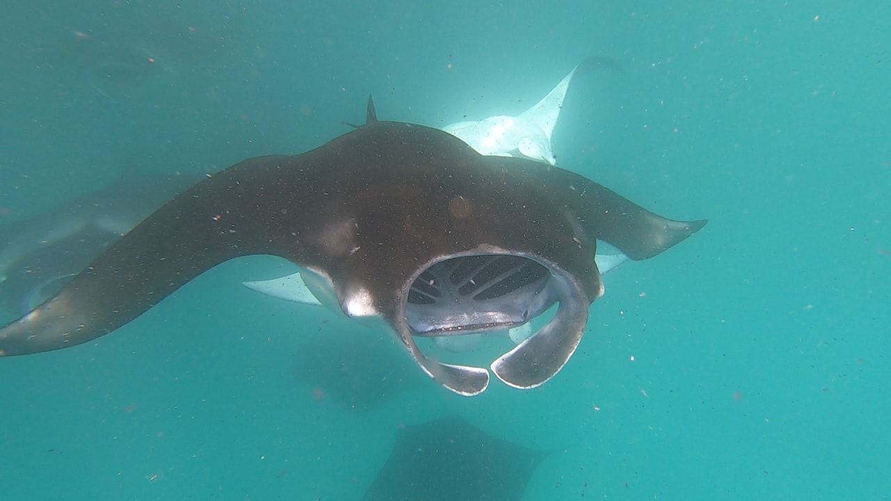 Sport & Freizeit NH Collection Maldives Reethi Resort