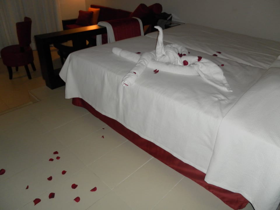 Verteilte Rosenblätter (Sonderleistung) Punta Cana Princess All Suites Resort & Spa