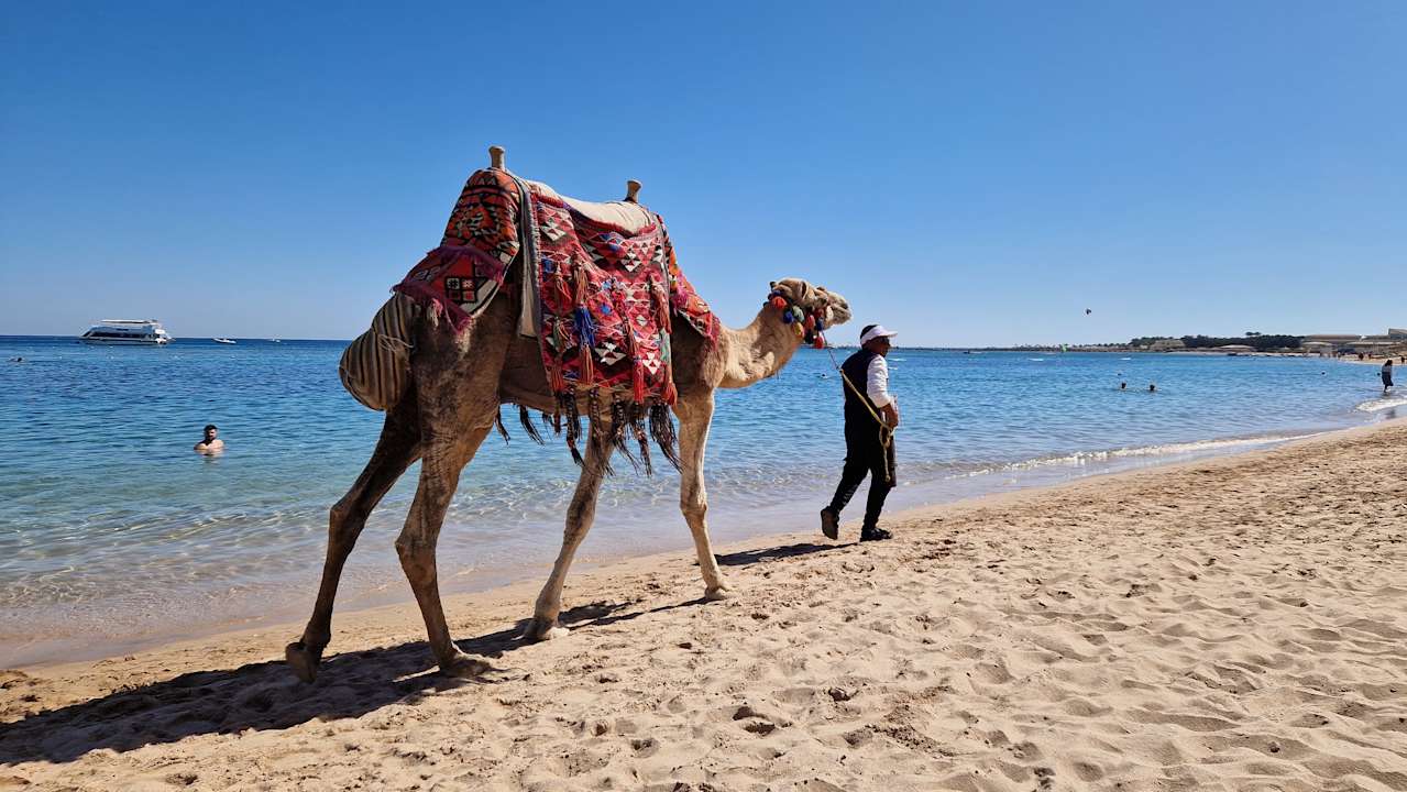 Strand Hotel JAZ Makadi Star & Spa