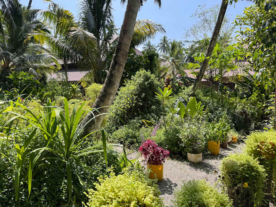 Gartenanlage Filitheyo Island Resort